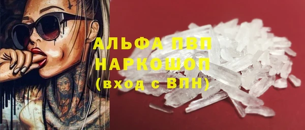 ГАЛЛЮЦИНОГЕННЫЕ ГРИБЫ Горняк