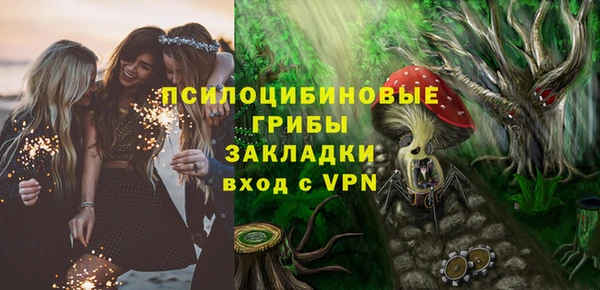 ГАЛЛЮЦИНОГЕННЫЕ ГРИБЫ Горняк
