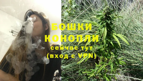 ГАЛЛЮЦИНОГЕННЫЕ ГРИБЫ Горняк
