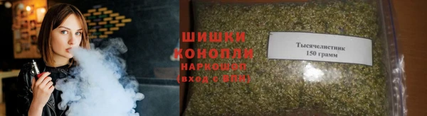ГАЛЛЮЦИНОГЕННЫЕ ГРИБЫ Горняк