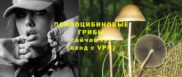 хмурый Горнозаводск