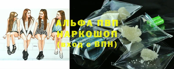 ГАЛЛЮЦИНОГЕННЫЕ ГРИБЫ Горняк