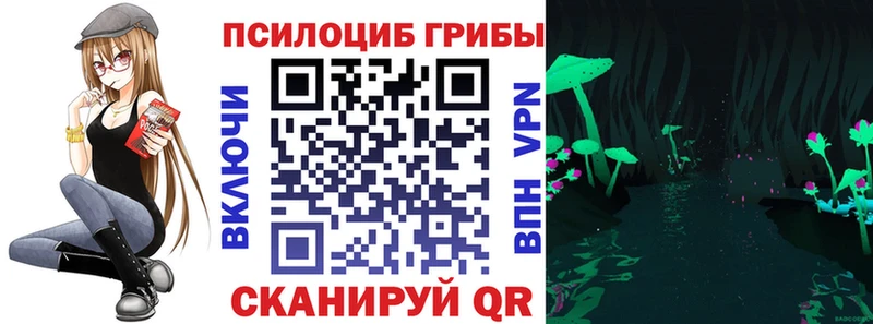 Купить где  Сердобск  Псилоцибиновые грибы мухоморы 